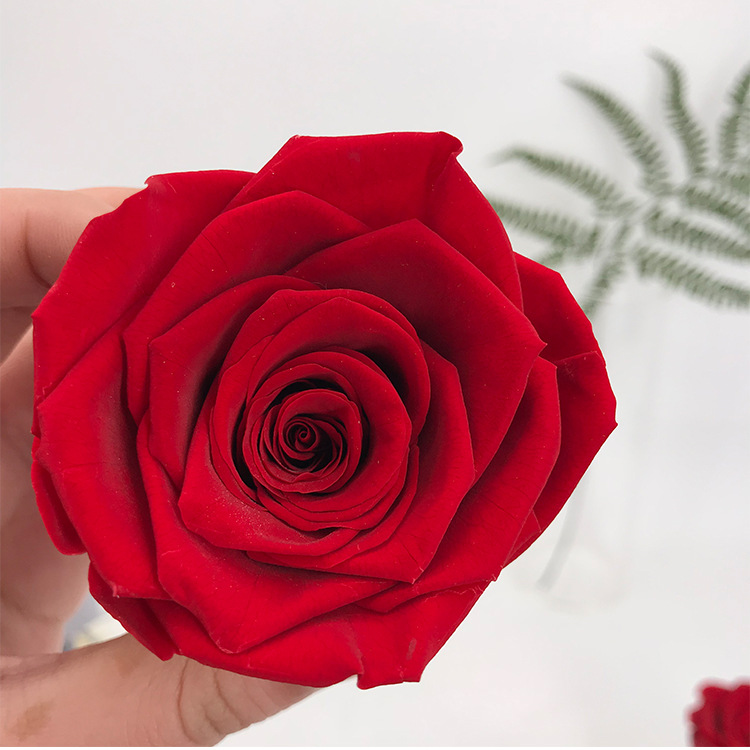 Eternal rose colorful gradient Buy wholesale preserved flower home decor, preserved flower